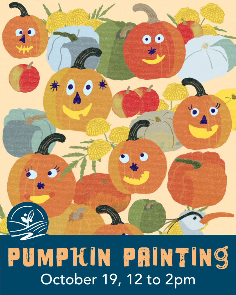 Pumpkin Painting Event Pic