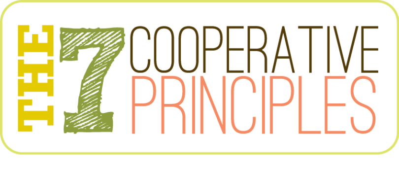 7 Cooperative Principle Feature Image 2