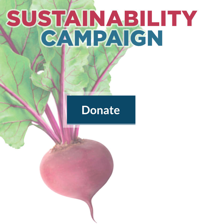 sustainability campaign promo