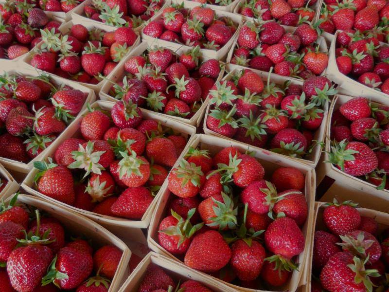 Wayland Farmers Market Strawberries