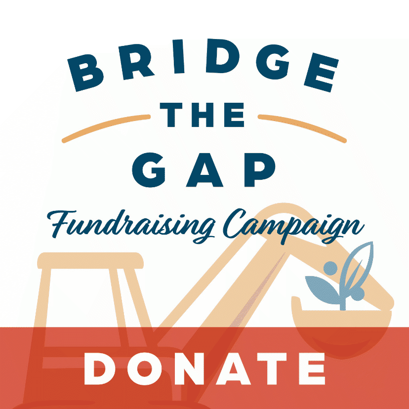 bridge the gap - donate
