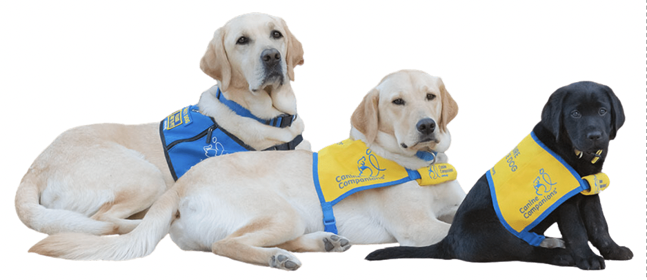 Canine Companioins Event 1